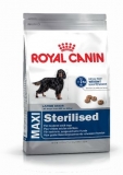 Royal Canin Maxi Sterilised
